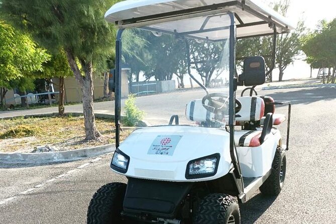 Watkins UTV American Golf Cart Rentals - Key points to know before you book